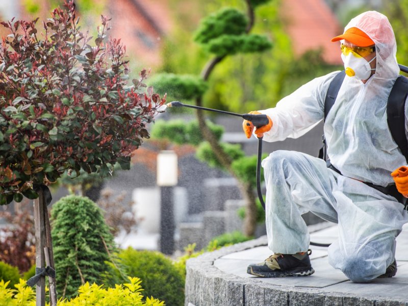 Kaş Haşere İlaçlama